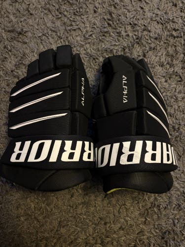 Warrior Alpha QX5 Gloves 14" (Used)
