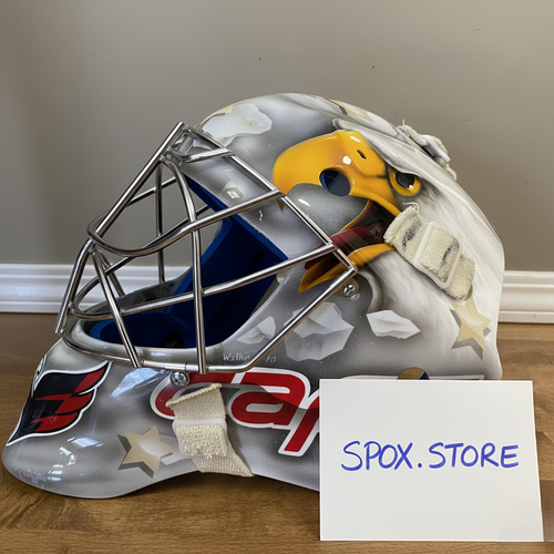 Senior Custom Painted Eddy Goalie Mask (READ DESCRIPTION)