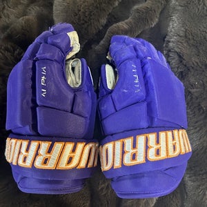 Warrior Alpha Gloves 14" Pro Stock Orlando Solar Bears (USED)