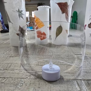 Large Oakley Aviator Shield