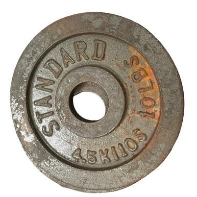 Used Standard Plate (Each) 10 lb 11859-S000027228