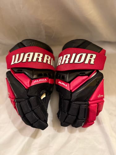 Warrior Alpha LX3 Pro Gloves 15" (Used)