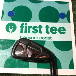 Callaway Ladies Big Bertha CF 19 7 Iron Recoil ESX 450 F1 Graphite Shaft (36)