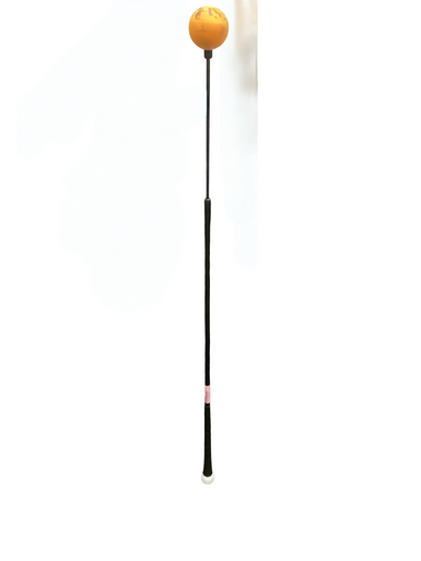 Used GOLF SPEED TRAINER Golf Accessory 11613-S000172883