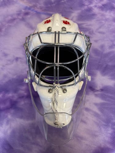 Victory V2 Goalie Mask (Used)
