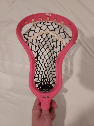 Pink STX Stallion 1K Head