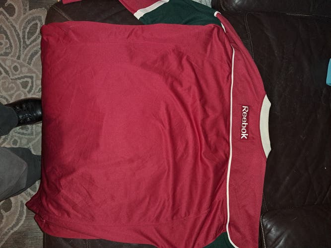 MINNESOTA WILD CLASSIC JERSEY