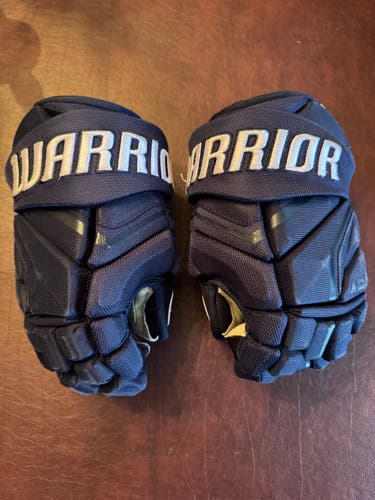 Warrior Gloves 10" (Used)