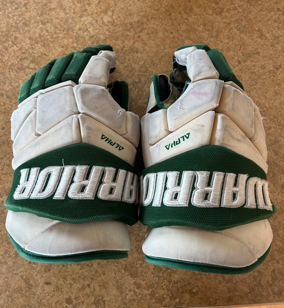Warrior Alpha Pro Plus Gloves 14" (Used)