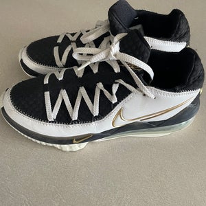 Men's Size M 8.5 (W 9.5) Nike Lebron 17 low Shoes (Used)