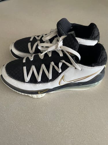 Men's Size M 8.5 (W 9.5) Nike Lebron 17 low Shoes (Used)