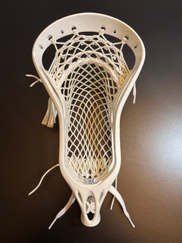 Warrior Evo Pro X6 - Brand New, Strung