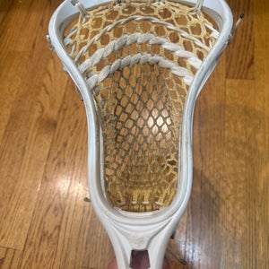 STX Stallion U 500 Head