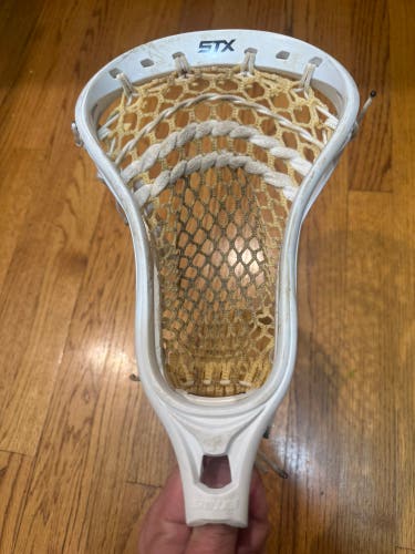 STX Stallion U 500 Head