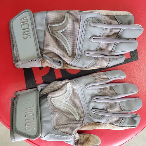 Victus Batting Gloves (Used)