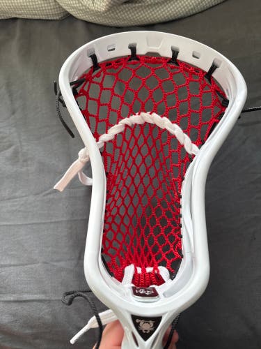 ECD Ion Strung Head (New)