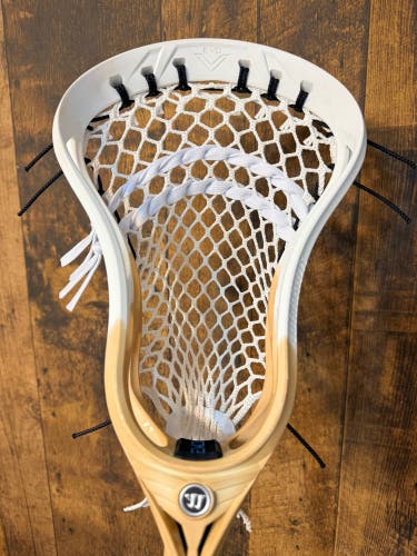 Warrior Evo V custom