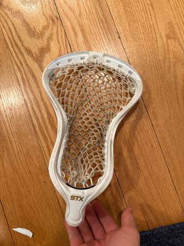 STX Stallion Head (Used)