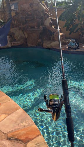 Shimano Miravel 4000 + Rod Combo (Duckett/Falcon) — Clean Setup