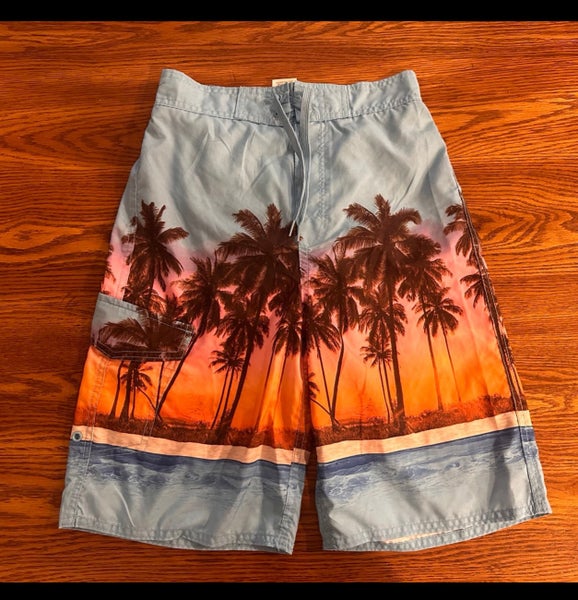 Blue Large Boys Swimsuit (Used) Joe Boxer