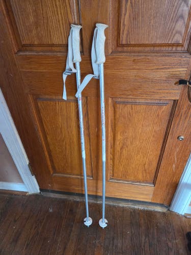 44in (110cm) Rossignol All Mountain Ski Poles (Used)