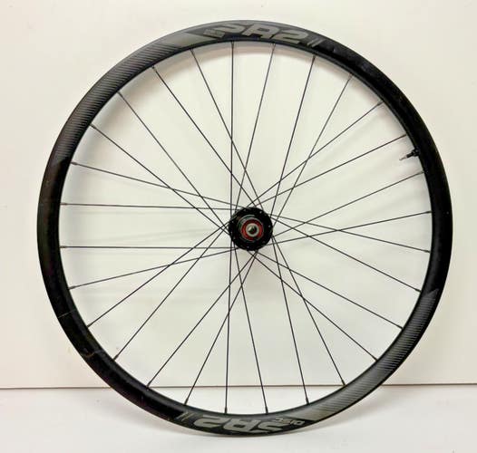 Giant SR2 Disc 28-Spoke Black Aluminum Tubeless Thru Axle 622x17/700C Rear Wheel