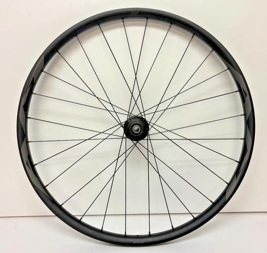 Giant AM 29 28-Spoke Aluminum Tubeless Disc Brake Thru Axle 29er Rear Wheel