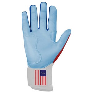 Medium Batting Gloves (Used)