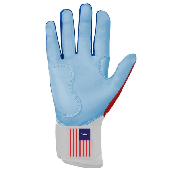 Medium Batting Gloves (Used)