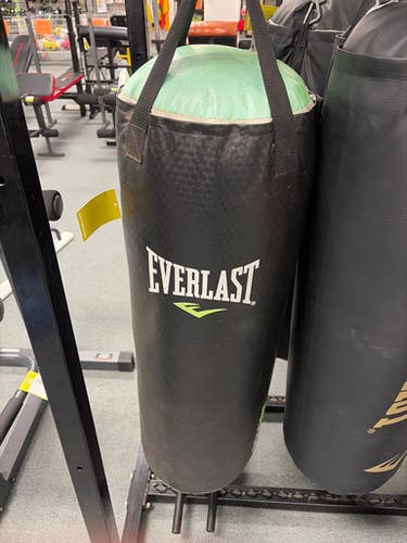 Used Everlast 100 LBS Boxing Heavy Bag None 100 lb 11307-S000261222