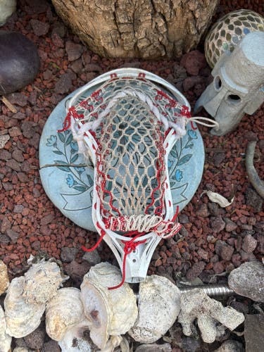 ECD Rebel Strung Head (Used)