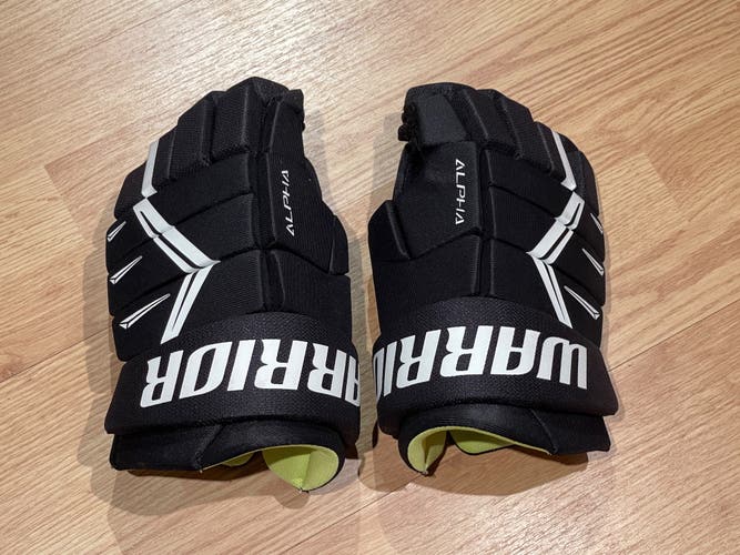 Warrior Alpha DX5 Gloves 14" (Used)