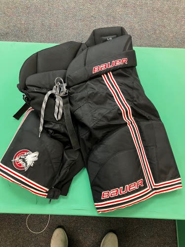 Bauer Nexus Hockey Pants Team Stock | Large
