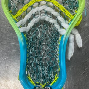 Warrior NEW TACTIK 2.0 Mens Lacrosse Head Royal Blue 11497-S000154250