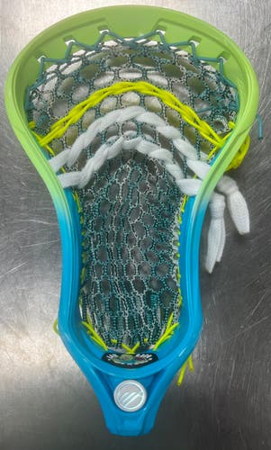 Warrior NEW TACTIK 2.0 Mens Lacrosse Head Royal Blue 11497-S000154250