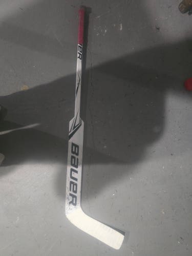 Youth Bauer Prodigy Regular Goalie Stick 20" Paddle (Used)