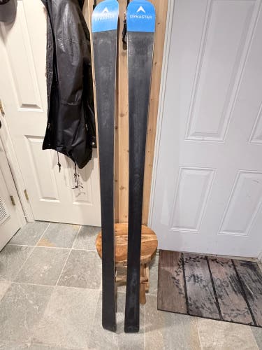Dynastar Speed Team GS 158 cm Racing Skis (Used)