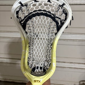 STX Stallion 900 Head (New)