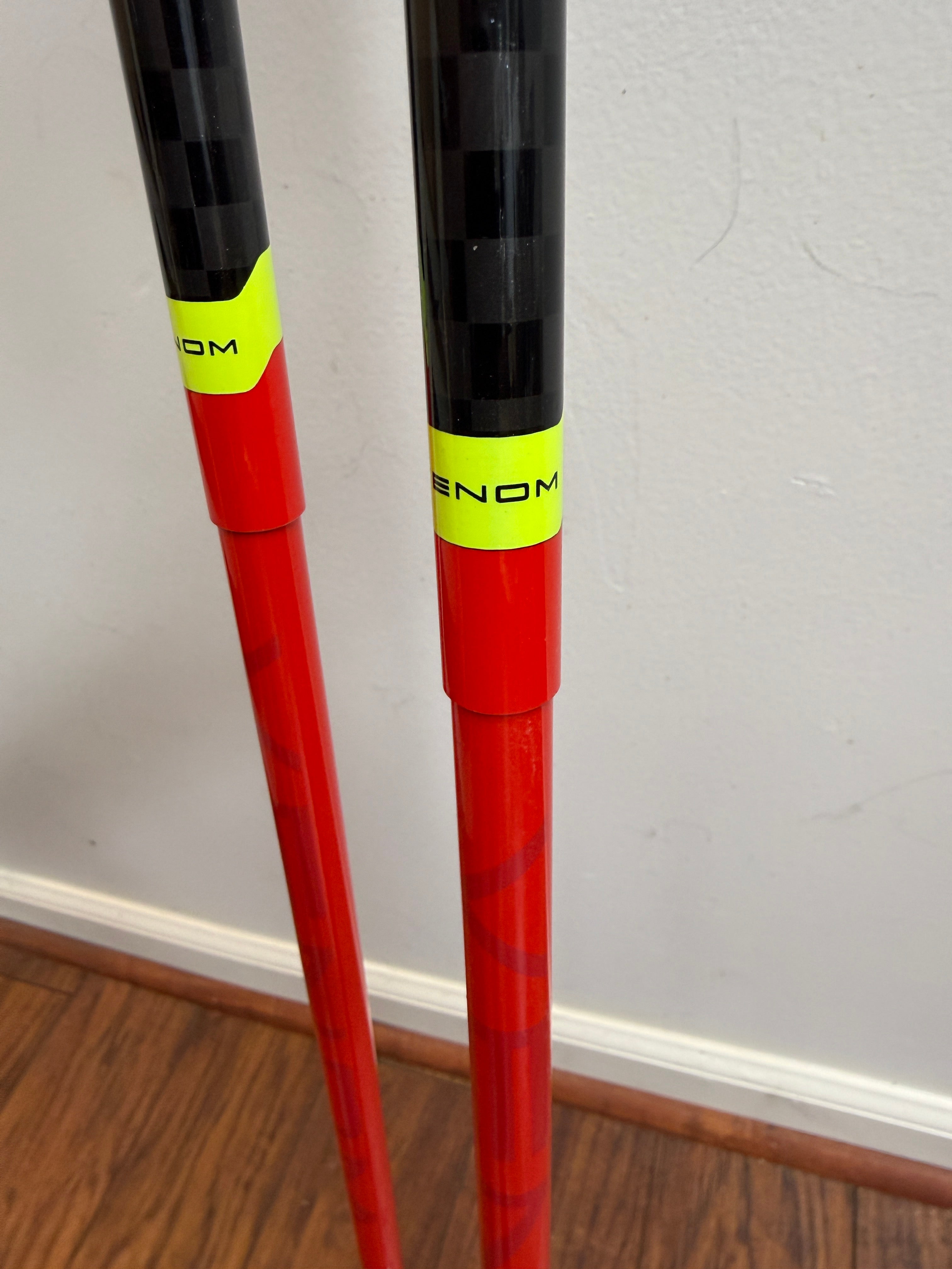 48in (120cm) Leki Racing WORLD CUP GS 3D Ski Poles (New