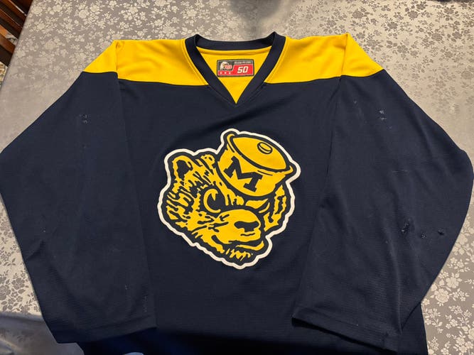 Blue Large Men's Jersey (Used)