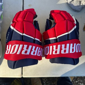 Warrior Covert QR6 Team Gloves 14" (Used)