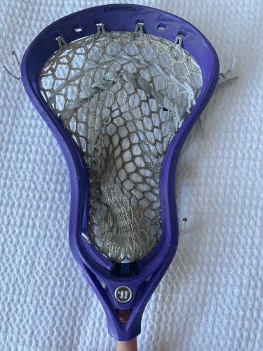 Warrior Evo QX-O Semi Hard Strung Head Purple (Used)