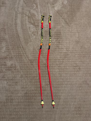 Leki 50 inch (125 cm) Ski Racing GS Poles