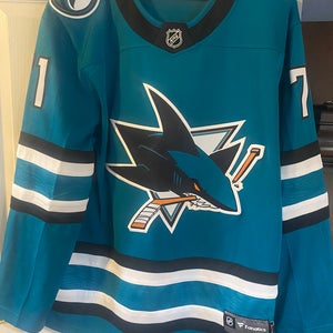 Blue Large Men's Jersey (New)