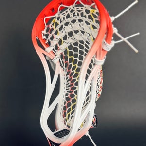 “Maryland Mirage” 3.0 Strung Head (New)