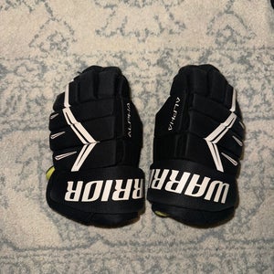Warrior Alpha Pro Gloves 10" (Used)