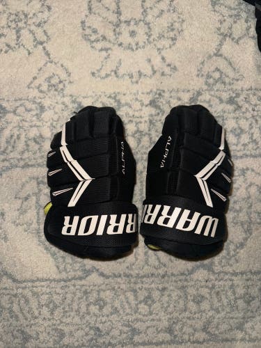 Warrior Alpha Pro Gloves 10" (Used)
