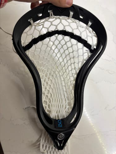 Warrior Evo V Strung Head (New)