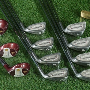 UNIQUE GOLD GOLF STARTER SET 12pc. REGULAR FLEX STEEL RH ~ LOOK!!