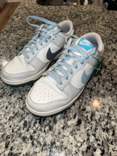 Nike Dunk Low Shoes White with Blue Unisex Size M 7.0 (W 8.0) (worn twice) (verified by stock X)